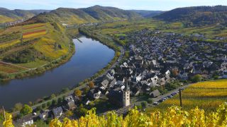 Link to Video | Bremm, Rhineland-Palatinate, autumn, Moselle, Germany, wine-producing region, vineyard, viticulture, Bremm, valley, river, human settlement, village, Mosel-Saar-Ruwer, Moselle Valley