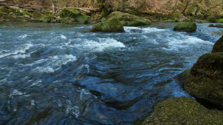 Link to Video | landscape, Rhineland-Palatinate, German-Luxembourg Nature Park, Irreler Wasserfälle, body of water, Germany, fluid flow, water, river, forest, Irrel, natural watercourse, brook, Prüm River, nature