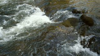 Link to Video | landscape, Rhineland-Palatinate, German-Luxembourg Nature Park, Irreler Wasserfälle, body of water, Germany, fluid flow, water, river, forest, Irrel, natural watercourse, brook, Prüm River, nature