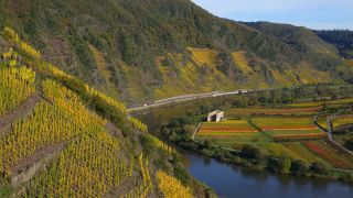 Link to Video | Bremm, Rhineland-Palatinate, autumn, Moselle, Germany, wine-producing region, vineyard, viticulture, Bremm, valley, river, human settlement, village, Mosel-Saar-Ruwer, Moselle Valley