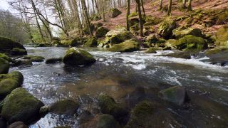 Link to Video | landscape, Rhineland-Palatinate, German-Luxembourg Nature Park, Irreler Wasserfälle, body of water, Germany, fluid flow, water, river, forest, Irrel, natural watercourse, brook, Prüm River, nature