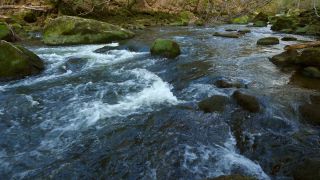 Link to Video | landscape, Rhineland-Palatinate, German-Luxembourg Nature Park, Irreler Wasserfälle, body of water, Germany, fluid flow, water, river, forest, Irrel, natural watercourse, brook, Prüm River, nature
