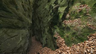 Link to Video | landscape, Rhineland-Palatinate, tourist destination, rock, Eifel, Germany, chine, Ernzen, forest, gorge, Ernzen, tourist attraction, Devil's Gorge (Eifel), nature, point of interest