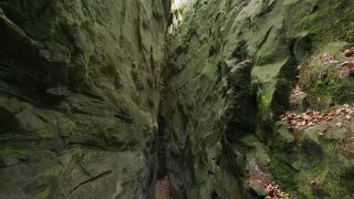 Link to Video | landscape, Rhineland-Palatinate, tourist destination, rock, Eifel, Germany, chine, Ernzen, forest, gorge, Ernzen, tourist attraction, Devil's Gorge (Eifel), nature, point of interest