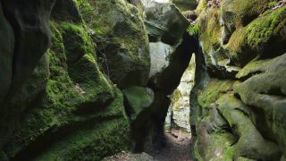Link to Video | landscape, Rhineland-Palatinate, tourist destination, rock, Eifel, Germany, chine, Ernzen, forest, gorge, Ernzen, tourist attraction, Devil's Gorge (Eifel), nature, point of interest