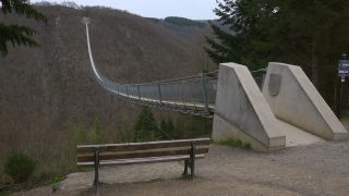 Link to Video | footbridge, landscape, Rhineland-Palatinate, tourist destination, bridge, suspension bridge, autumn, Hunsrück-Hochwald National Park, Germany, Geierlay, color, 4K resolution, Hunsrück, simple suspension bridge, valley, forest, daytime, Kastellaun, tourist attraction, Mörsdorf, nature, Rhein-Hunsrück-Kreis