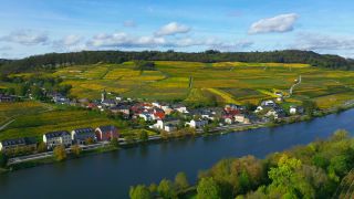 Link to Video | bird's-eye view, autumn leaf color, autumn, Moselle, wine-producing region, vineyard, viticulture, Ahn, Luxembourg, agricultural land, landscape of agriculture, valley, river, aerial shot, Mosel-Saar-Ruwer, Moselle Valley