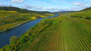 Link zum Video | Vogelperspektive, Herbstfärbung, Herbst, Mosel, Weinbaugebiet, Weinberg, Weinbau, Ahn, Luxemburg, Agrarland, Agrarlandschaft, Tal, Fluss, Luftaufnahme, Mosel, Moseltal