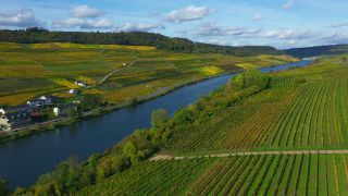Link to Video | bird's-eye view, autumn leaf color, autumn, Moselle, wine-producing region, vineyard, viticulture, Ahn, Luxembourg, agricultural land, landscape of agriculture, valley, river, aerial shot, Mosel-Saar-Ruwer, Moselle Valley