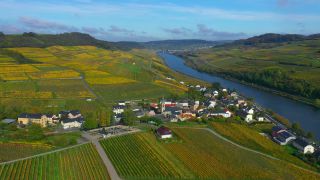 Link to Video | bird's-eye view, autumn leaf color, autumn, Moselle, wine-producing region, vineyard, viticulture, Ahn, Luxembourg, agricultural land, landscape of agriculture, valley, river, aerial shot, Mosel-Saar-Ruwer, Moselle Valley