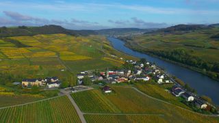 Link zum Video | Vogelperspektive, Herbstfärbung, Herbst, Mosel, Weinbaugebiet, Weinberg, Weinbau, Ahn, Luxemburg, Agrarland, Agrarlandschaft, Tal, Fluss, Luftaufnahme, Mosel, Moseltal
