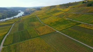 Link to Video | bird's-eye view, autumn leaf color, autumn, Moselle, wine-producing region, vineyard, viticulture, Ahn, Luxembourg, agricultural land, landscape of agriculture, valley, river, aerial shot, Mosel-Saar-Ruwer, Moselle Valley