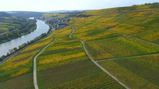 Link to Video | bird's-eye view, autumn leaf color, autumn, Moselle, wine-producing region, vineyard, viticulture, Ahn, Luxembourg, agricultural land, landscape of agriculture, valley, river, aerial shot, Mosel-Saar-Ruwer, Moselle Valley