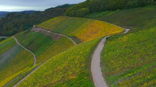 Link zum Video | Landschaft, Herbstfärbung, Rheinland-Pfalz, Herbst, Saar, Deutschland, Weinbaugebiet, Weinberg, Weinbau, Saarburg, Agrarland, Agrarlandschaft, Saarburg, Mosel, Natur