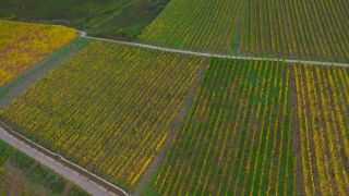 Link to Video | landscape, autumn leaf color, Rhineland-Palatinate, autumn, Saar, Germany, wine-producing region, vineyard, viticulture, Saarburg, agricultural land, landscape of agriculture, Saarburg, Mosel-Saar-Ruwer, nature