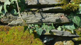 Link to Video | sandstone, stone, masonry, wall, rock, schistose rock