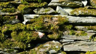 Link to Video | sandstone, stone, masonry, wall, rock, schistose rock