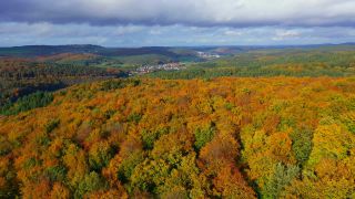 Link zum Video | Landschaft, Farbe, Baum, Vogelperspektive, Herbstfärbung, Rheinland-Pfalz, Herbst, Waldzustand, Laub, Deutschland, Waldzustandsbericht, Landform, bunt, Blatt, Wald, Luftaufnahme, Bunt, Kastel-Staadt, Gehölz, Natur, Blattwerk