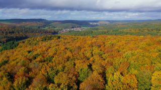 Link to Video | landscape, color, tree, bird's-eye view, autumn leaf color, Rhineland-Palatinate, autumn, Waldzustand, foliage, Germany, Waldzustandsbericht, landform, multicolored, leaf, forest, aerial shot, Bunt, Kastel-Staadt, woody plant, nature, laubwerk