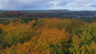 Link zum Video | Landschaft, Vogelperspektive, Herbstfärbung, Rheinland-Pfalz, Herbst, Landschaftselement, Deutschland, Vegetation, Polter, Landform, Freudenburg, Ökosystem, Wald, Luftaufnahme, Freudenburg, Natur