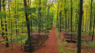 Link to Video | landscape, bird's-eye view, autumn leaf color, Rhineland-Palatinate, autumn, landscape element, Germany, vegetation, Woodpile, landform, Freudenburg, ecosystem, forest, aerial shot, Freudenburg, nature