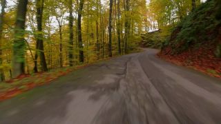 Link to Video | landscape, Rhineland-Palatinate, motor car, Germany, highway, road, Mannebach, transport, nature, thoroughfare, Trier-Saarburg