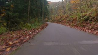 Link to Video | landscape, Rhineland-Palatinate, motor car, Germany, highway, road, Mannebach, transport, nature, thoroughfare, Trier-Saarburg