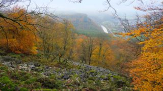 Link to Video | landscape, tree, autumn leaf color, Rhineland-Palatinate, autumn, foliage, Taben-Rodt, Germany, vegetation, season, Maunert, forest, nature