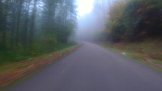 Link zum Video | Landschaft, Verkehr, Sichtbarkeit, Fahren, Verkehrsträger, Straße, Nebel, Verkehrsmittel, Sichtweite, Transport, Natur, Verkehrsweg