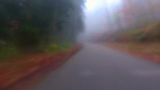 Link zum Video | Landschaft, Verkehr, Sichtbarkeit, Fahren, Verkehrsträger, Straße, Nebel, Verkehrsmittel, Sichtweite, Transport, Natur, Verkehrsweg