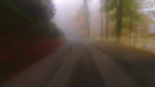 Link zum Video | Landschaft, Verkehr, Sichtbarkeit, Fahren, Verkehrsträger, Straße, Nebel, Verkehrsmittel, Sichtweite, Transport, Natur, Verkehrsweg
