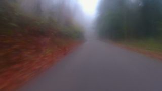 Link to Video | landscape, Verkehr, visibility, Fahren, mode of transport, road, fog, vehicle, visibility, transport, nature, thoroughfare