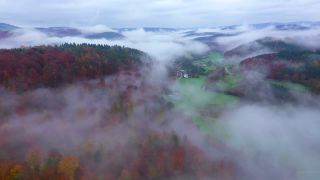 Link zum Video | Landschaft, Baum, Herbstfärbung, Rheinland-Pfalz, Herbst, Deutschland, Jahreszeit, Nebel, Wald, Trassem, Gehölz, Natur
