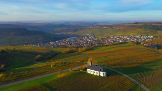 Link zum Video | Vogelperspektive, Herbstfärbung, Rheinland-Pfalz, Herbst, Obermosel, Mosel, Deutschland, Rochuskapelle, Weinbaugebiet, Weinberg, Weinbau, Luxemburg, Nittel, Kirche, Grenzfluss, Luftaufnahme, Nittel, Obermoseltal, Mosel
