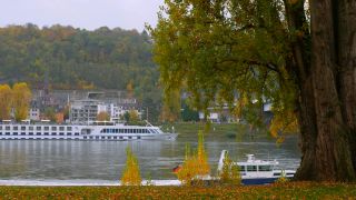 Link zum Video | Rheinland-Pfalz, Deutschland, Koblenz, Rhein, Landkreis Mayen-Koblenz