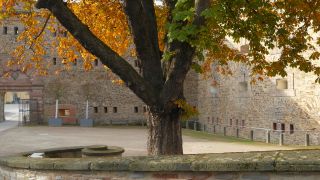 Link to Video | Rhineland-Palatinate, Germany, Koblenz, Rhine, Mayen-Koblenz