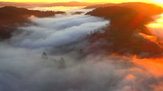 Link to Video | landscape, Cloef, Saarland, natural phenomenon, Germany, fog, Saarschleife, Mettlach, nature