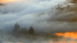 Link to Video | landscape, Cloef, Saarland, natural phenomenon, Germany, fog, Saarschleife, Mettlach, nature