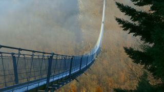 Link to Video | footbridge, landscape, Rhineland-Palatinate, tourist destination, bridge, suspension bridge, autumn, Hunsrück-Hochwald National Park, Germany, Geierlay, color, 4K resolution, landform, Hunsrück, footpath, simple suspension bridge, valley, forest, daytime, Kastellaun, tourist attraction, Sosberg, Mörsdorf, nature, architectural structure, thoroughfare, Rhein-Hunsrück-Kreis, point of interest