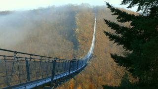 Link to Video | footbridge, landscape, Rhineland-Palatinate, tourist destination, bridge, suspension bridge, autumn, Hunsrück-Hochwald National Park, Germany, Geierlay, color, 4K resolution, landform, Hunsrück, footpath, simple suspension bridge, valley, forest, daytime, Kastellaun, tourist attraction, Sosberg, Mörsdorf, nature, architectural structure, thoroughfare, Rhein-Hunsrück-Kreis, point of interest