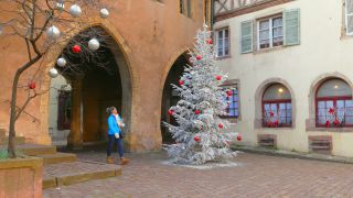 Link to Video | Alsace, vacation, tourist destination, Haut-Rhin, Colmar, France, leisure, Grand Est, Christmas, tourism, tourist, tourism destination, Christmas decoration, Altstadt, paid time off, Advent