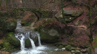 Link to Video | landscape, rock, Schéissendëmpel, water, Luxembourg, waterfall, nature