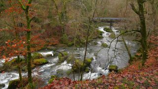 Link to Video | landscape, Rhineland-Palatinate, German-Luxembourg Nature Park, rock, Irreler Wasserfälle, Germany, water, watercourse, river, forest, Irrel, rapids, Prüm River, nature