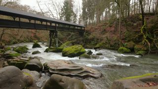 Link to Video | landscape, Rhineland-Palatinate, German-Luxembourg Nature Park, rock, Irreler Wasserfälle, Germany, water, watercourse, river, forest, Irrel, rapids, Prüm River, nature