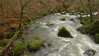 Link to Video | landscape, Rhineland-Palatinate, German-Luxembourg Nature Park, rock, Irreler Wasserfälle, Germany, water, watercourse, river, forest, Irrel, rapids, Prüm River, nature