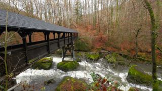 Link to Video | landscape, Rhineland-Palatinate, German-Luxembourg Nature Park, rock, Irreler Wasserfälle, Germany, water, watercourse, river, forest, Irrel, rapids, Prüm River, nature