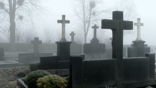 Link to Video | tree, weather, grave, fog, Christian cross, cemetery, Christianity, faith, symbol, religion
