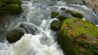 Link to Video | landscape, Rhineland-Palatinate, German-Luxembourg Nature Park, rock, Irreler Wasserfälle, Germany, water, watercourse, river, forest, Irrel, rapids, Prüm River, nature