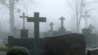 Link to Video | tree, weather, grave, fog, Christian cross, cemetery, Christianity, faith, symbol, religion