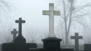 Link to Video | tree, weather, grave, fog, Christian cross, cemetery, Christianity, faith, symbol, religion